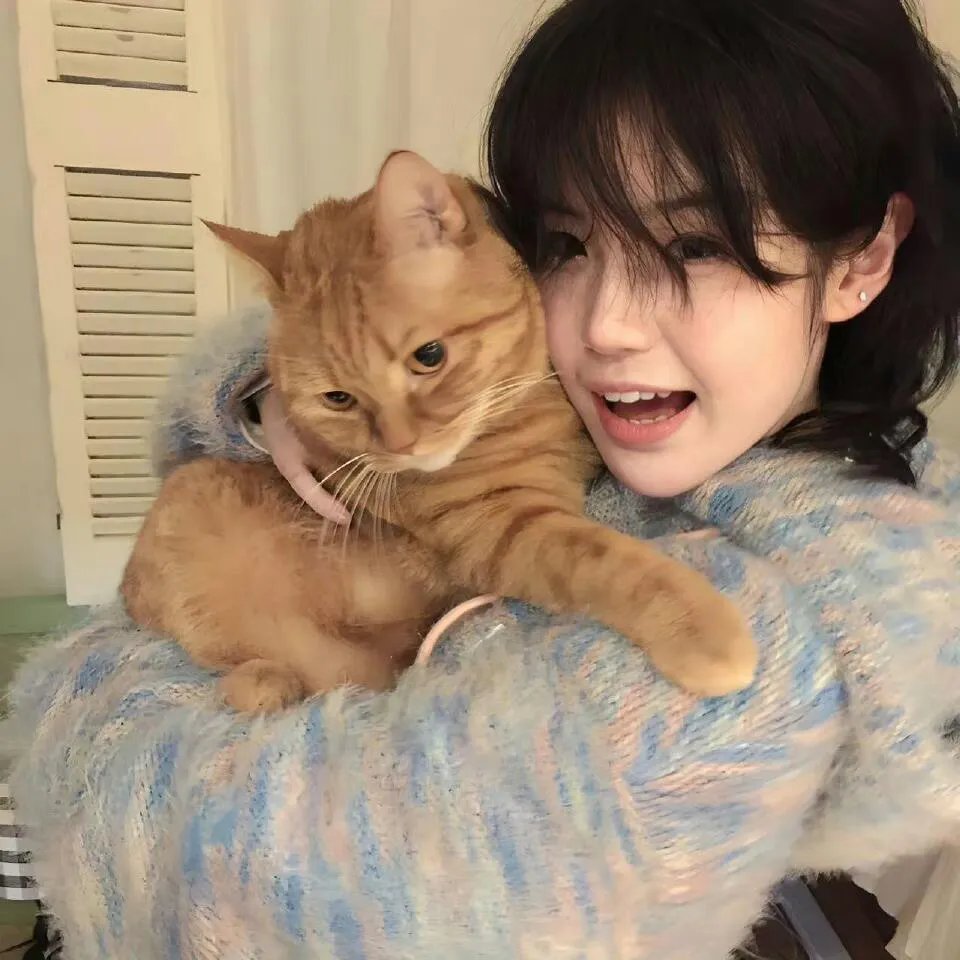 神医出山我为闺女选女婿